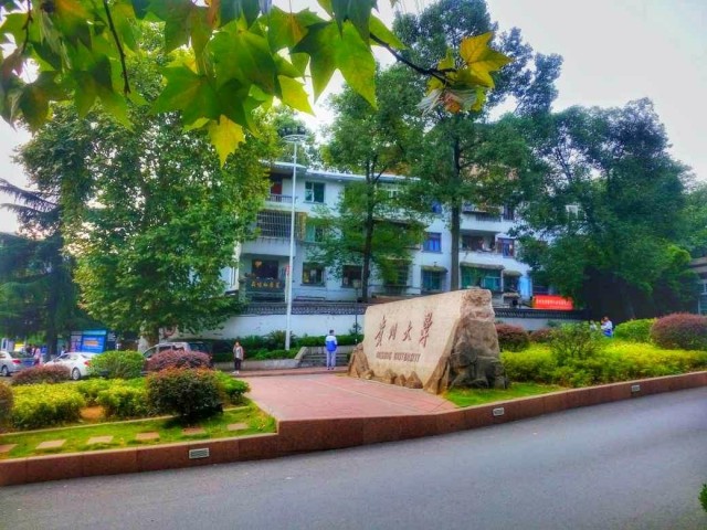 MemoryChips记忆碎片2018.9